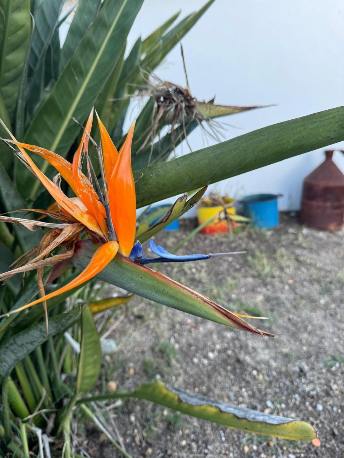 Monte Santo Villa Montargil Ngoại thất bức ảnh